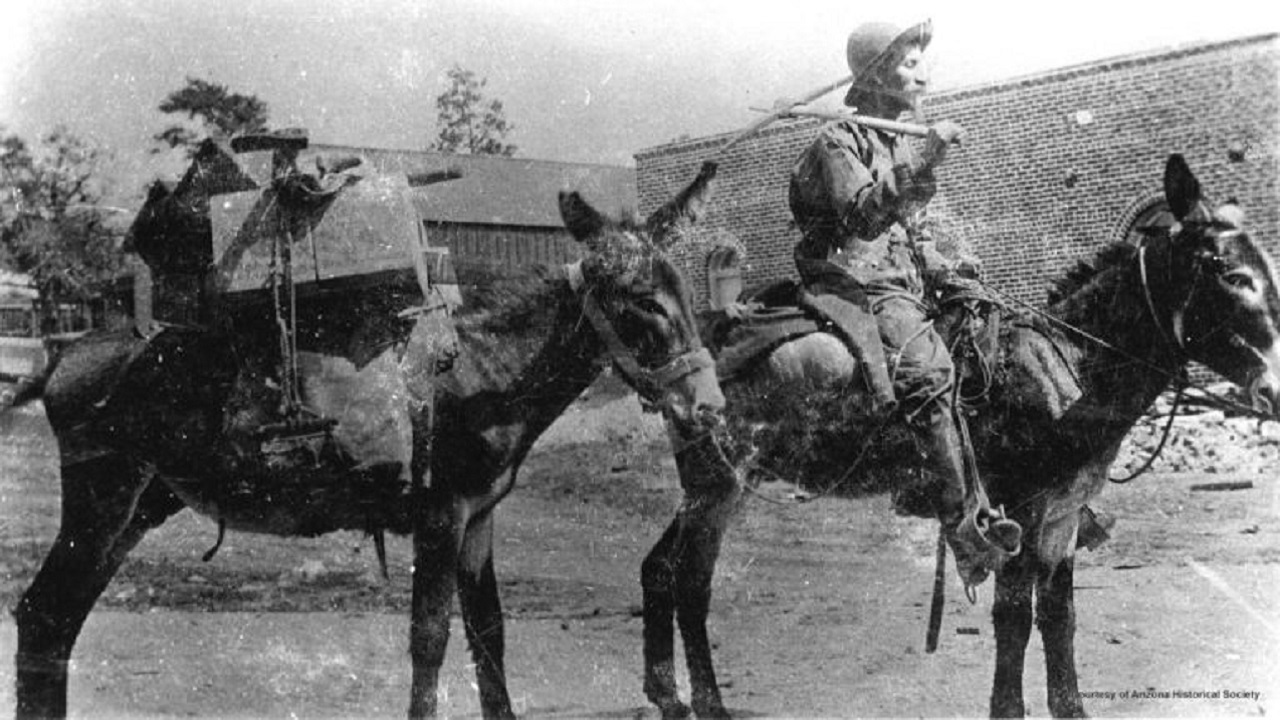general kinematics история